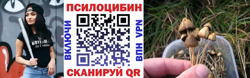 даркнет сайт  нарко площадка наркотические препараты  Псилоцибиновые грибы Psilocybe  Заринск 