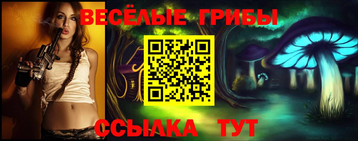 Псилоцибиновые грибы GOLDEN TEACHER  Вход с VPN  Заринск 