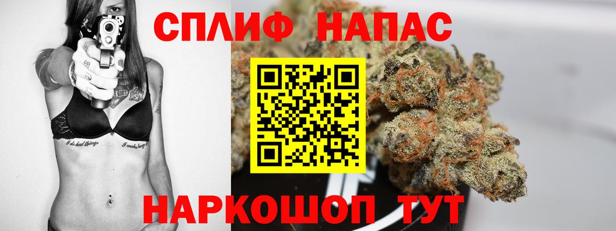 Бошки Шишки MAZAR Заринск